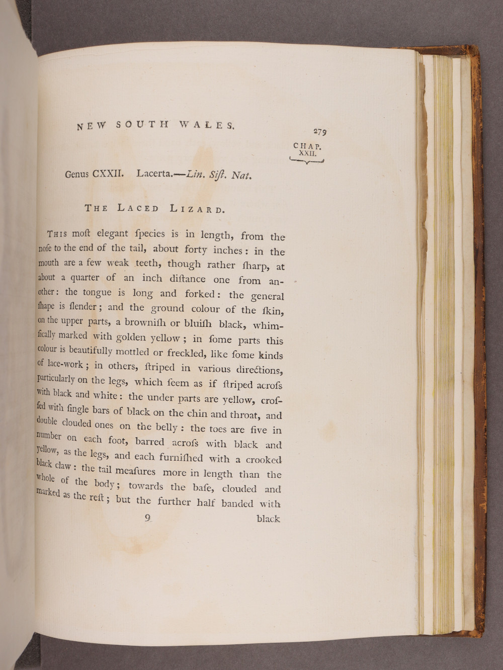 Page 279